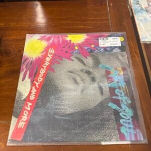 Disco Vinile 33 Giri Act of Soul – Everybody