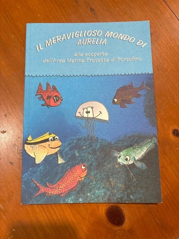 Meraviglioso Mondo di Aurelia — foto 3