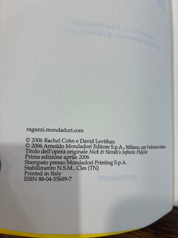 Tutto Accadde in una Notte – Cohn/Levithan — foto 2