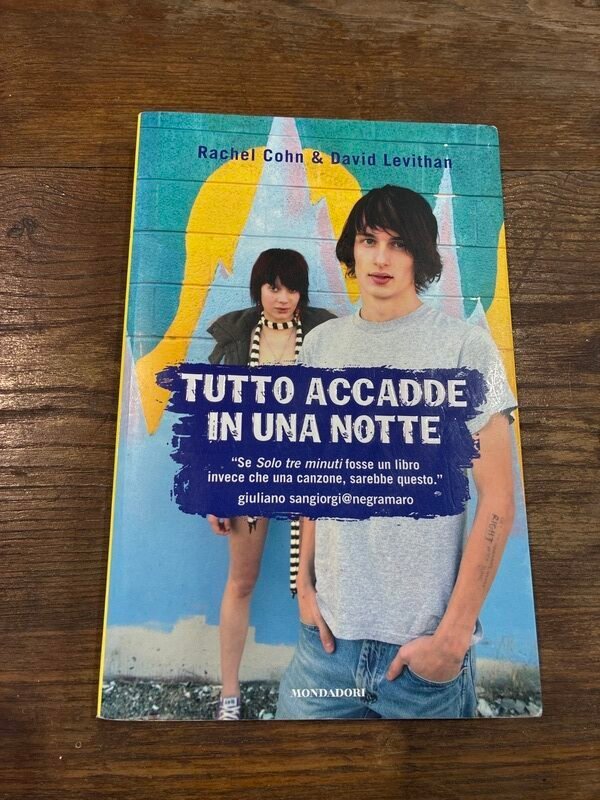 Tutto Accadde in una Notte – Cohn/Levithan — foto 4