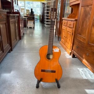 Chitarra Acustica Legno Concert