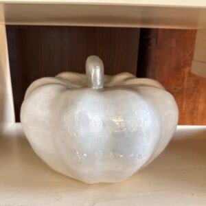 Zucca Bianca Plastica Effetto Madreperla