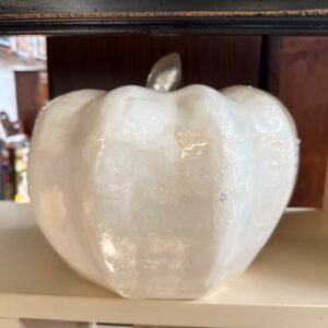 Zucca Bianca Effetto Madreperla